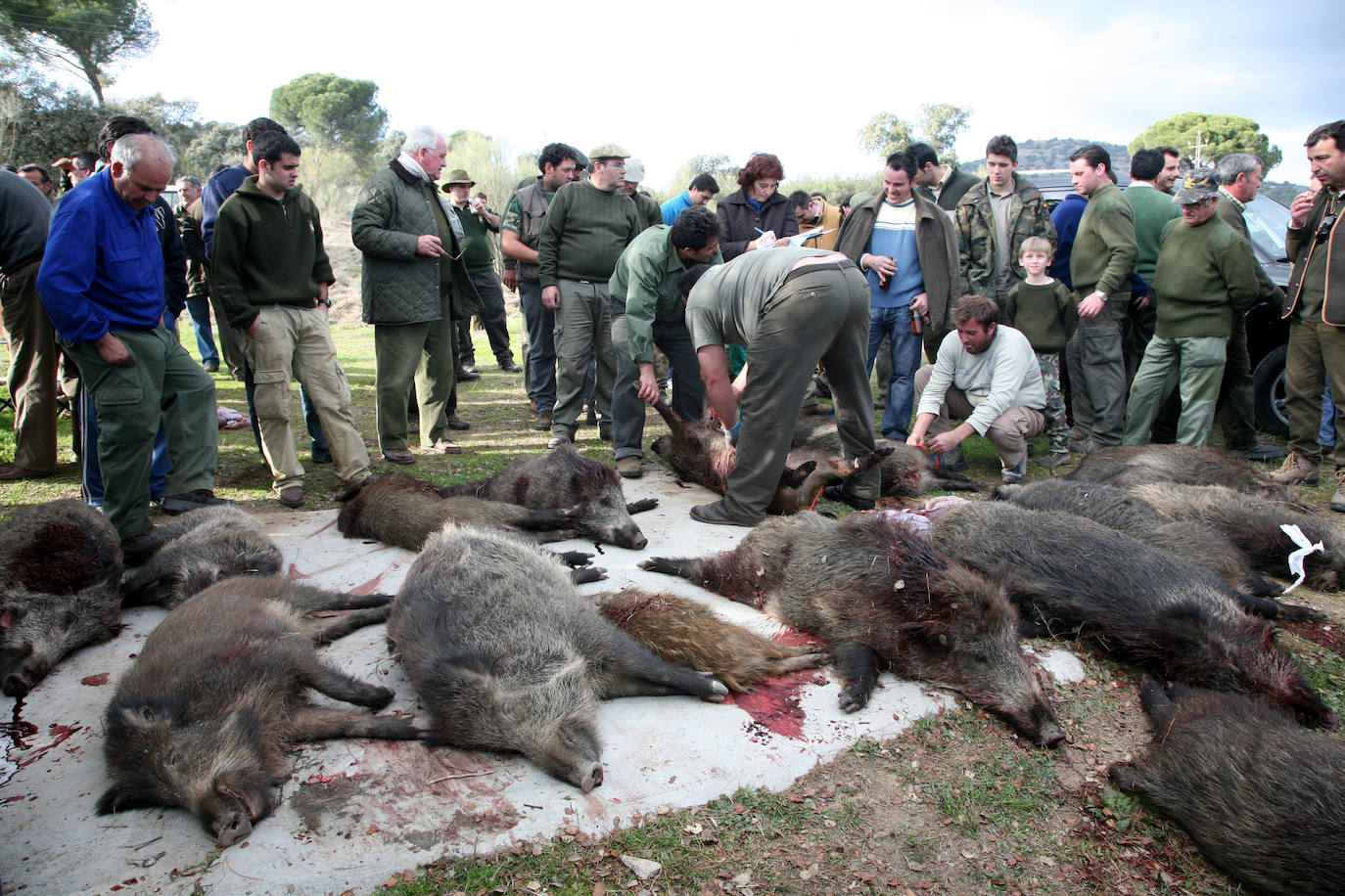 La covid-19 limitará las monterías al mermar la venta de carne y los clientes