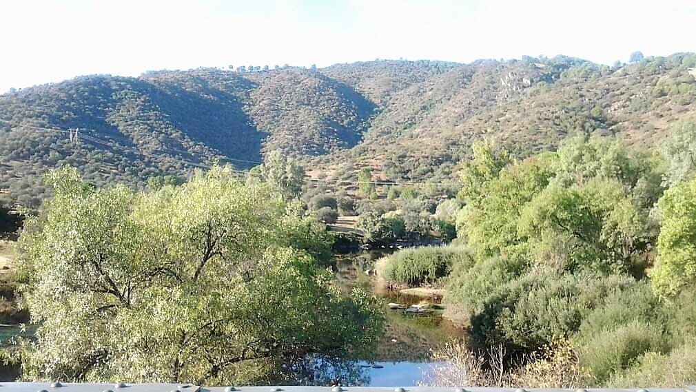 Adelante Andalucía percibe nula voluntad en abrir las vías pecuarias