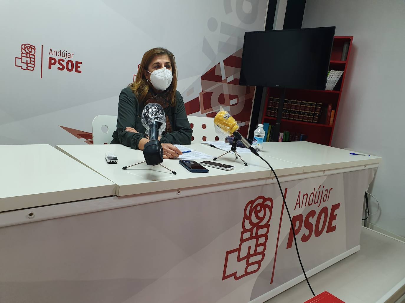 Josefa Lucas, durante su comparecencia de esta mañana.