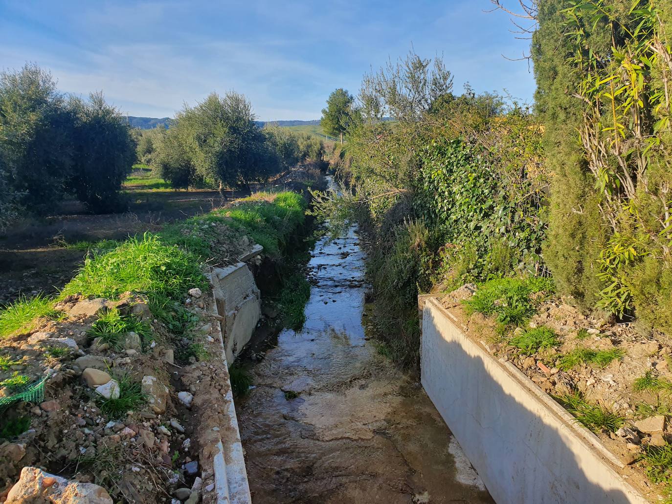 Canal de riego en ls inmediaciones de Los Cerrillos, el pasado domingo, tras las últimas precipitaciones.. 