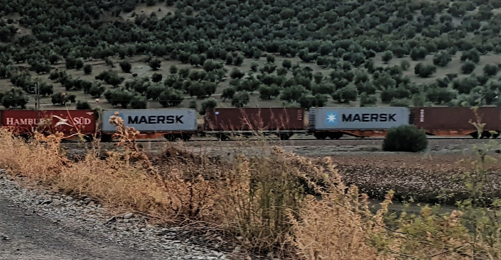 Tren de mercancías a su paso por la zona de la carretera de Valtodano. 