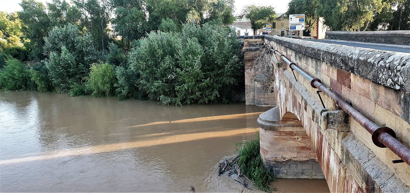 Río Guadalquivir a su paso por el puente romano de Andújar. 