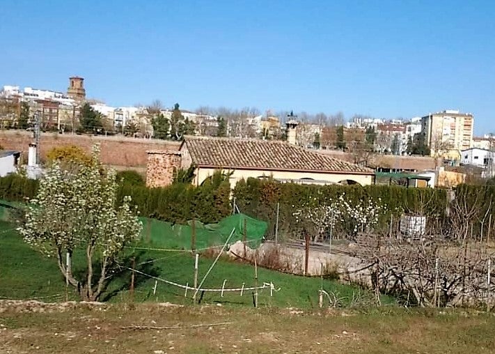 Zona de huertas en la Isla, a orillas del Gudalquivir en Andújar. 