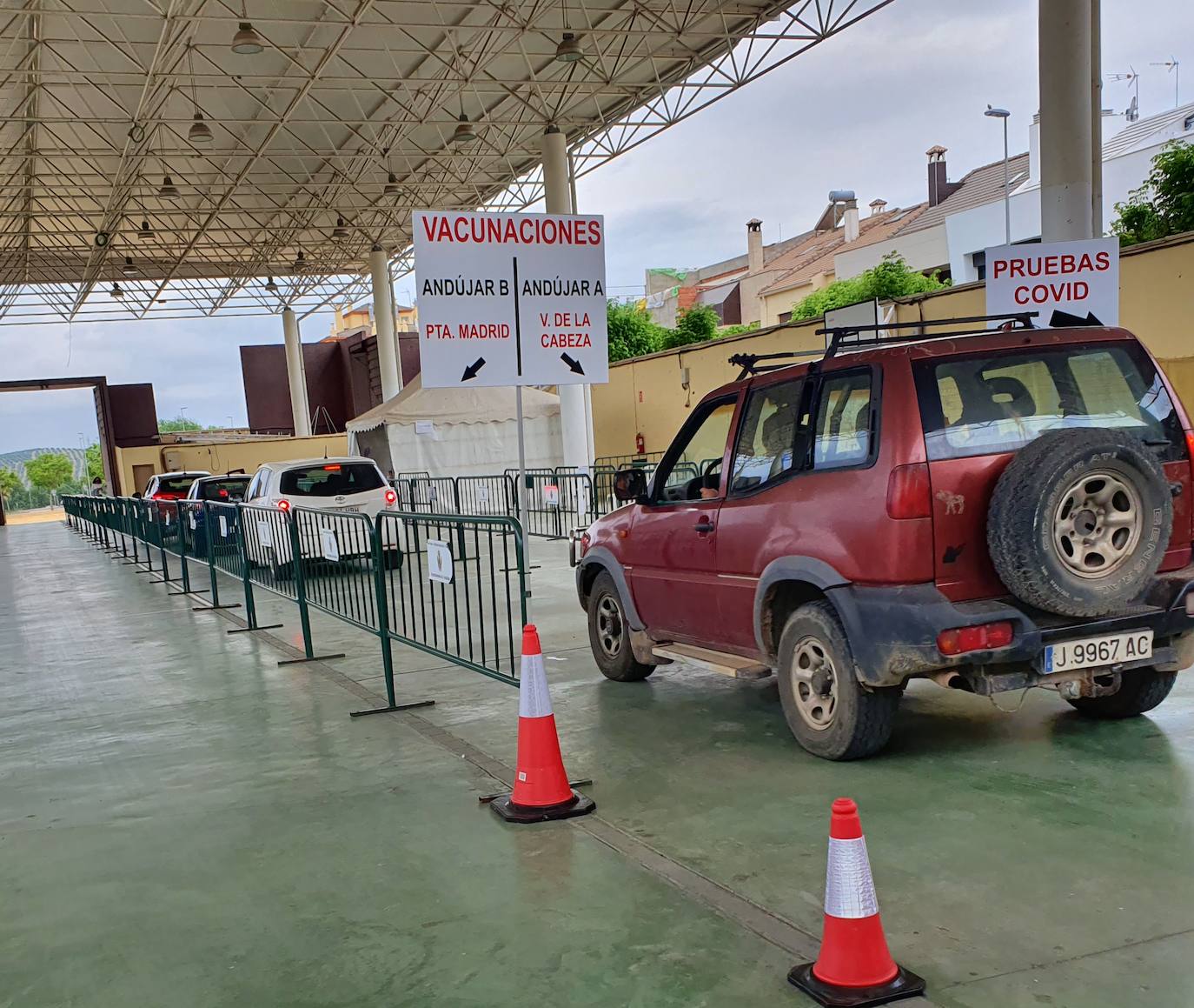Vacunación en el recinto ferial de Andújar. 