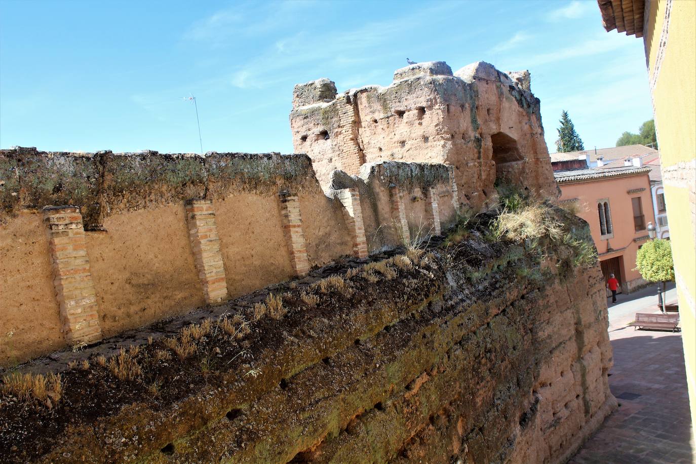 Murallas árabes, vistas desde el Palacio de los Niños de Don Gome. 