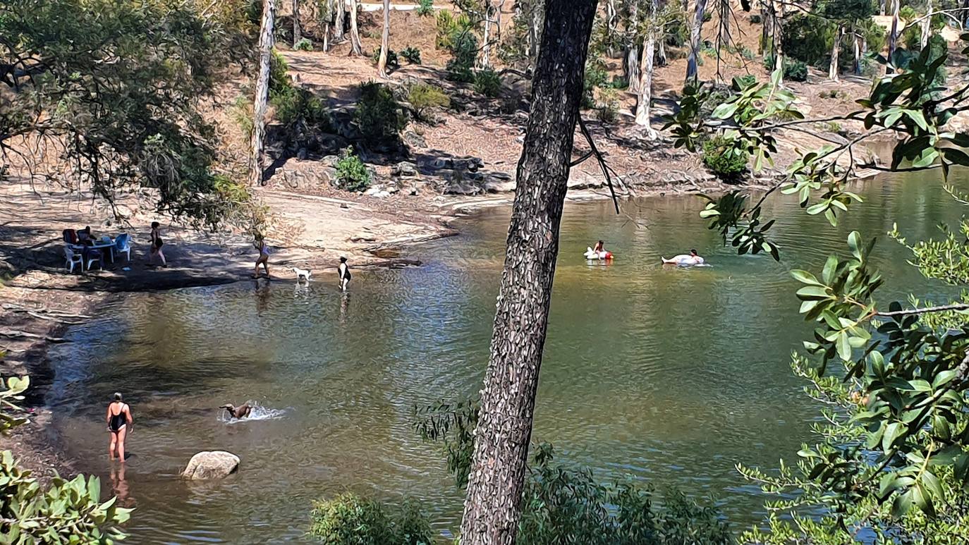 Aspecto que presenta el Encinarejo durante este verano. 