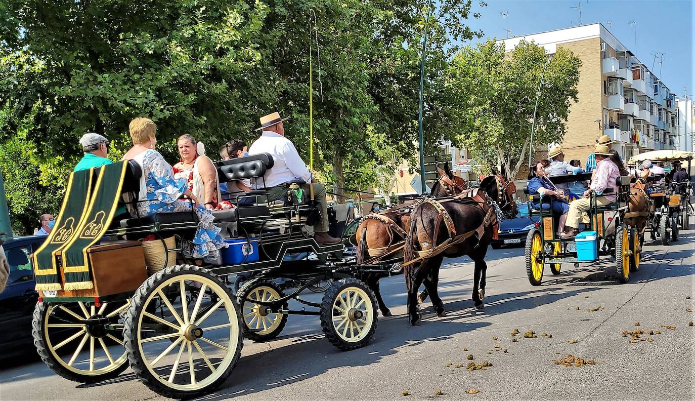 Paseo de Caballos esta mañana en el Parque San Eufrasio. 