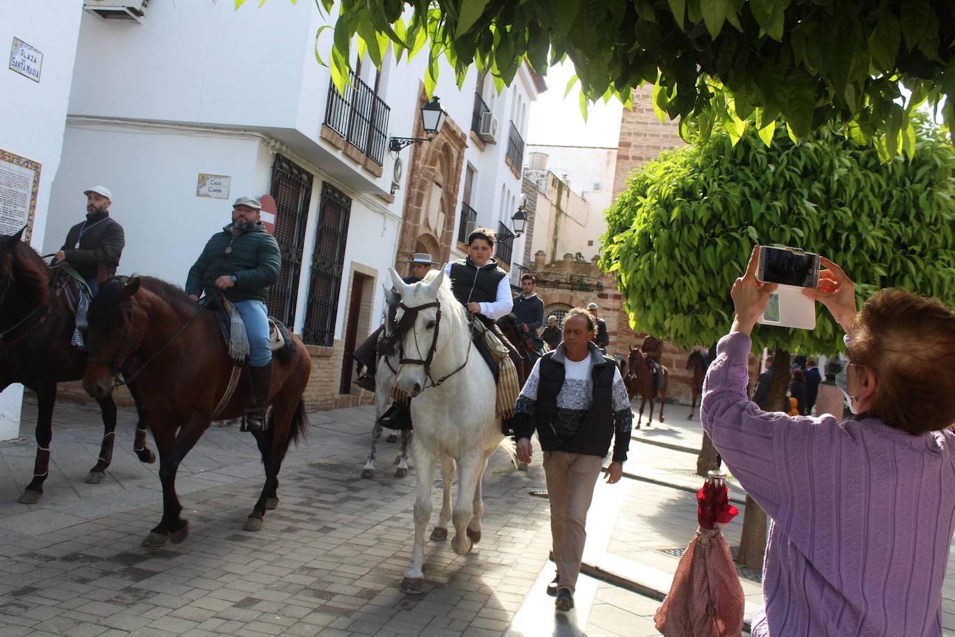 Paseillo de mulos y caballos por la Plaza de Santa María en la mañana del sábado de romería 