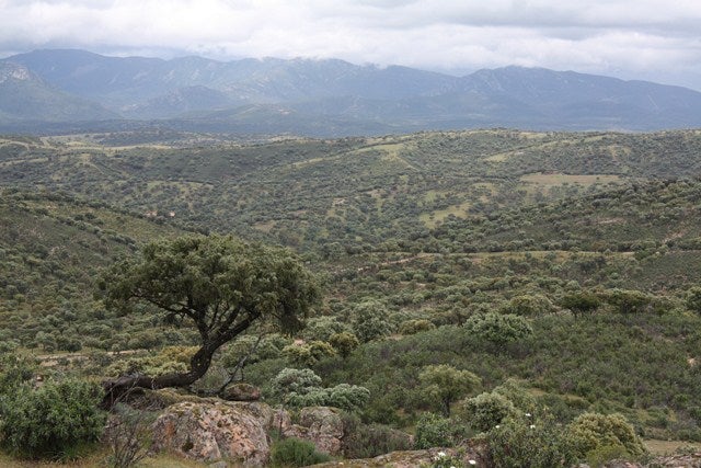 Zona norte del parque natural. 