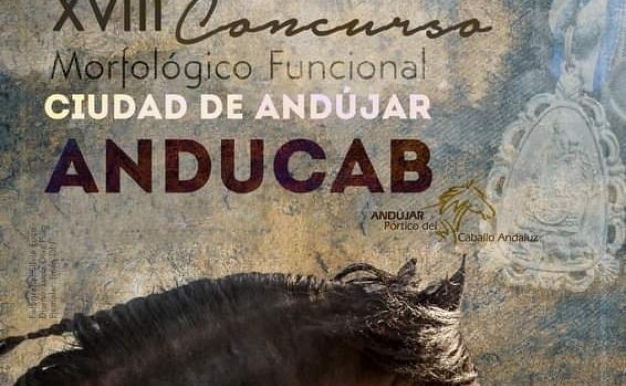 Anducab celebrará en los Jardines de Colón del 1 al 4 de septiembre