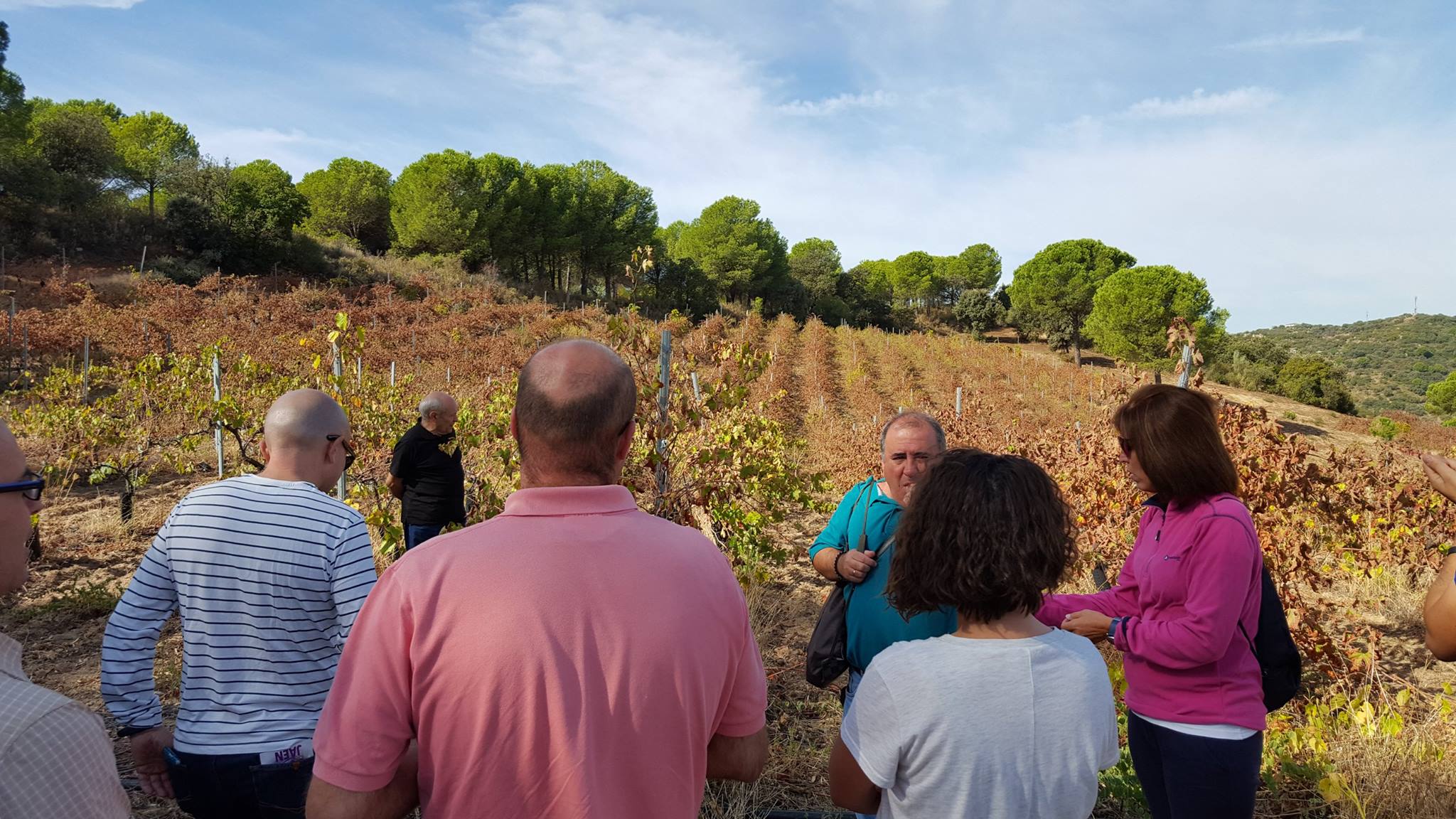 Visita guiada a las hectáreas de la bodega donde se retomó hace 16 años la producción de vino en la zona. web boeda capellanías 