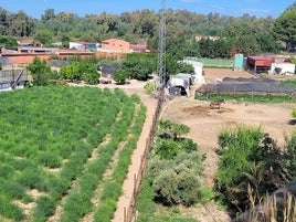 Zona de huertas y frutales en La Isla.