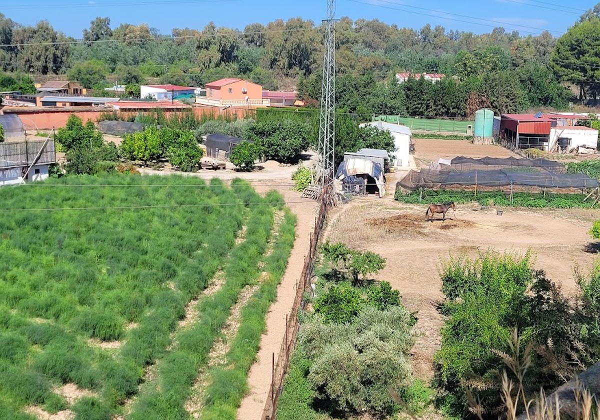 Zona de huertas y frutales en La Isla.