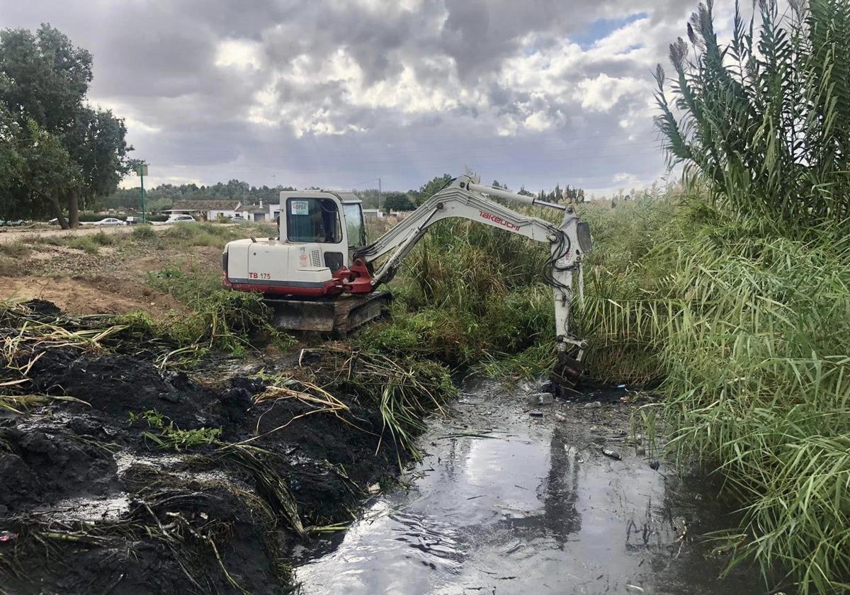 Labores de limpieza en Arroyo Mestanza para prevenir inundaciones.