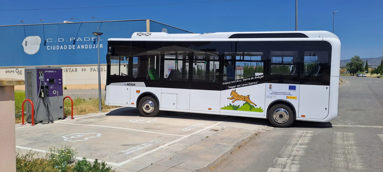 El Pleno de la Corporación Municipal aprueba el servicio de autobús al poblado del Santuario