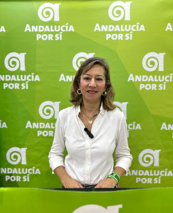 Encarna Camacho en su comparecencia.