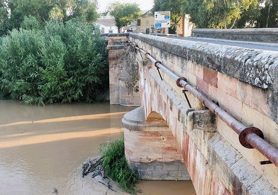 La corporación municipal exige el arreglo el puente romano en Andújar