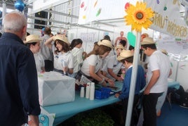 Los jóvenes muestran varios experimentos con su ingenio.