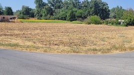 Aspecto que presenta en la actualidad la zona de la Isla. /