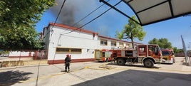 Equipo humano y material de los bomberos de Andújar en el último fuego de SAFA.