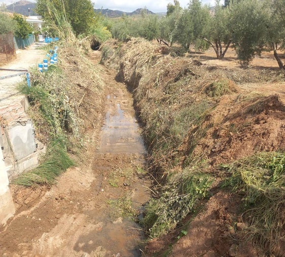 Comienza la mejora y limpieza del arroyo Martín Gordo