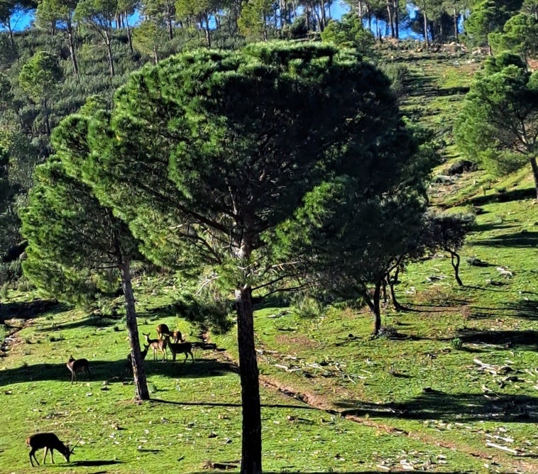 La finca del Fontanarejo se sitúa en el foco del debate social y político