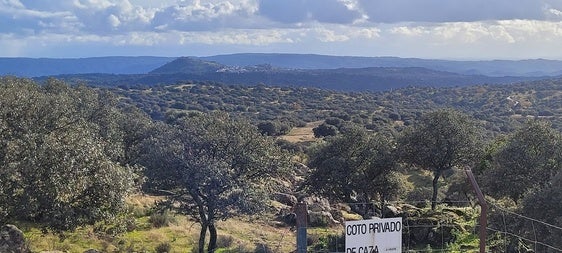 Exigen el fin del celo de impedir el paso por las vías pecuarias de Andújar