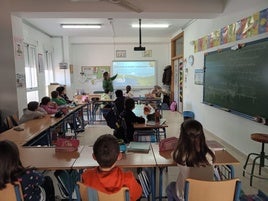 Actividad formativa en las aulas por miembros del colectivo.