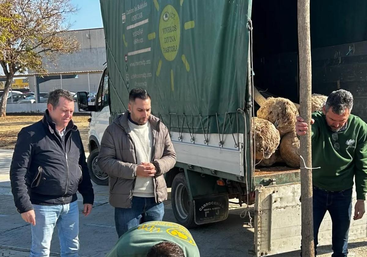 SUSTITUCIÓN DE ARBOLADO EN LA AVENIDA DE LISBOA.