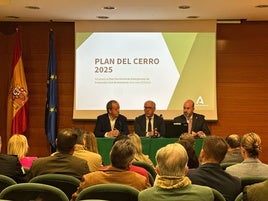 Reunión preparatoria este jueves en Jaén del Plan del Cerro.
