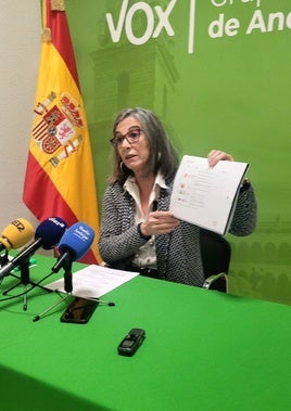 María Peinado, durante su comparecencia de ayer en el despacho municipal de Vox.