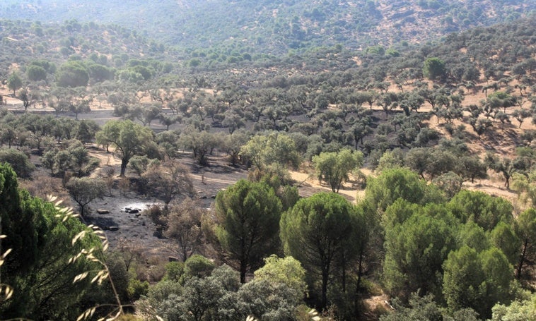 IU-Podemos pide que el Ayuntamiento se persone en la investigación del fuego