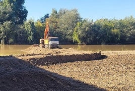 Trabajos de acondicionamiento del río a su paso por la ciudad.