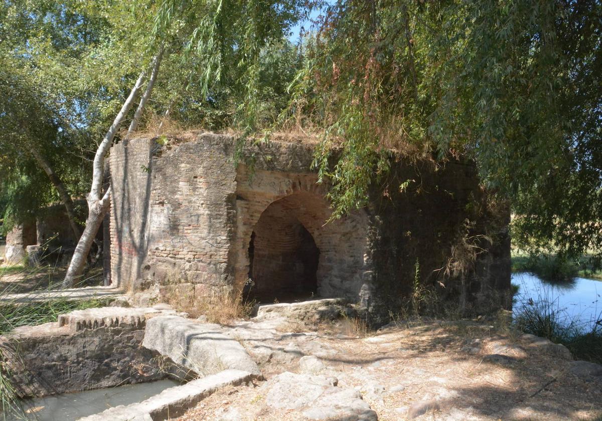 MOLINO DE LAS ACEÑAS.
