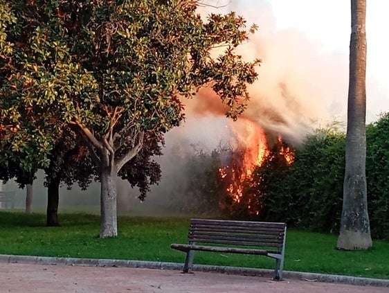 El incendio del sábado se declaró en un coche llegando ubicado en la Puerta de Córdoba, extendiéndose las llamas por el muro de Las Vistillas.