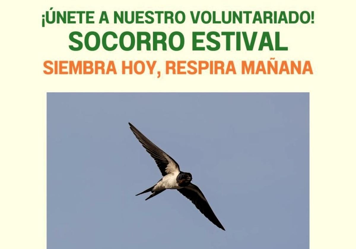 ESLOGAN DE LA CAMPAÑA.