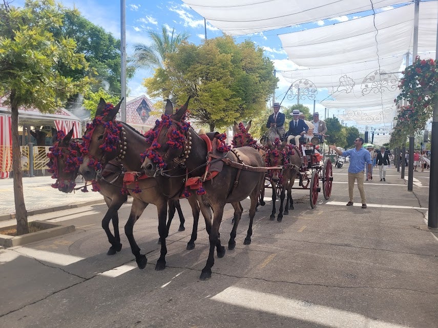 Amazonas y jinetes en el paseo de caballos de la pasada Feria por los Jardines de Colón y paseo de enganches por el Ferial.