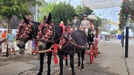 ENGANCHES RECORREN EL FERIAL HOY DOMINGO.