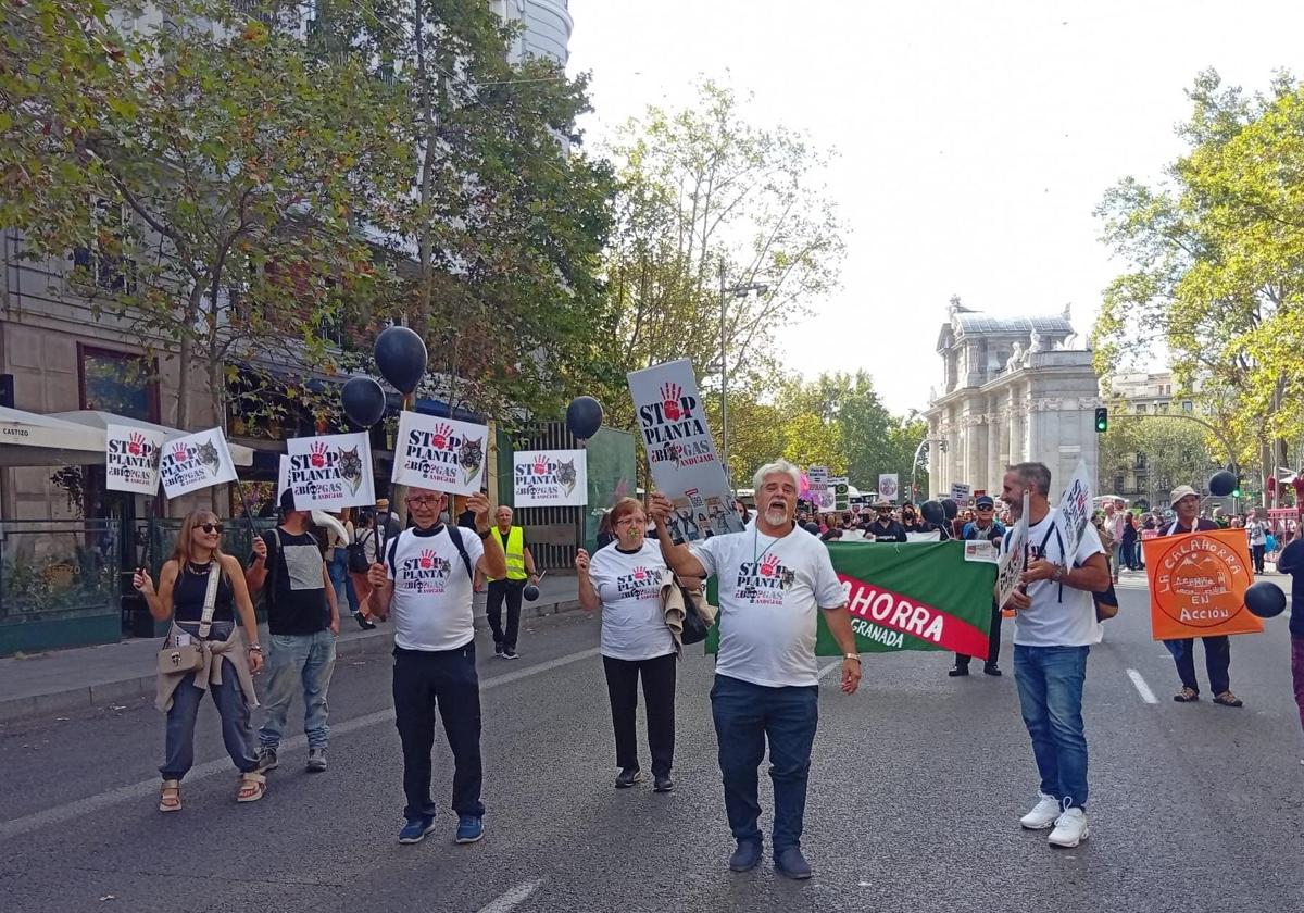 Integrantes de la plataforma Stop a la Planta de Biogás en Andújar en una manifestación celebrada en Madrid el pasado día 27 de septiembre.