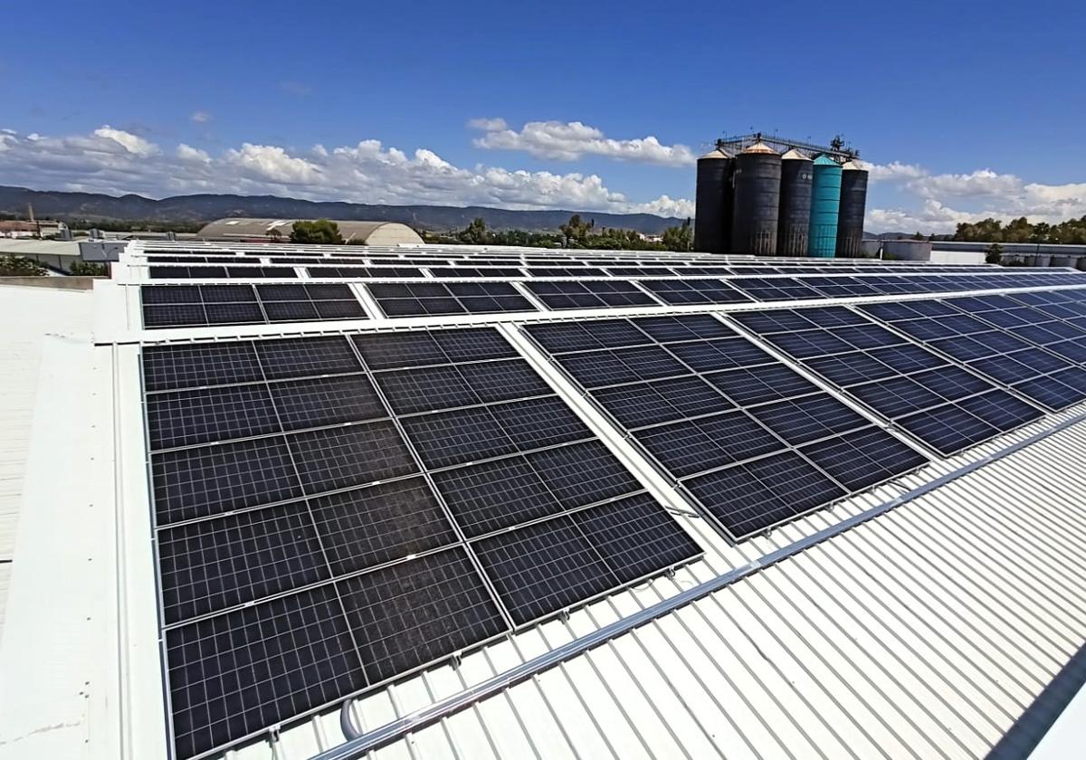 Placas solares en la planta de la ciudad.