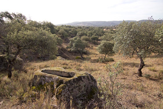 Tumbas rupestres revelan la existencia de una comunidad mozárabe en la sierra