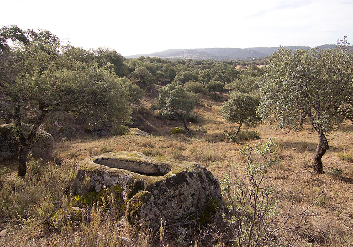 Material geológico de granito que delata la existencia de las tumbas.