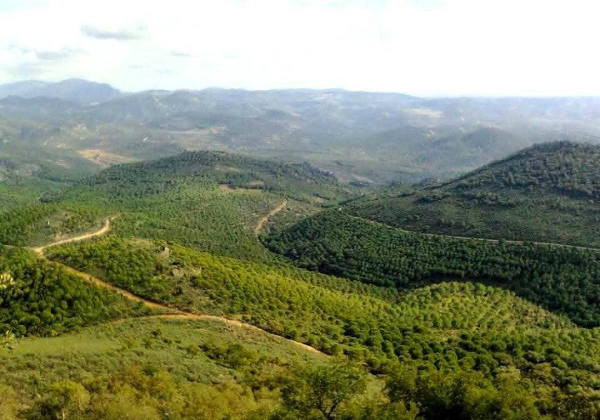 VEREDAS QUE ATRAVIESAN LA SERRANÍA.
