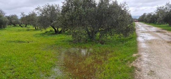El Consistorio activa un plan para mitigar los efectos del temporal en Andújar