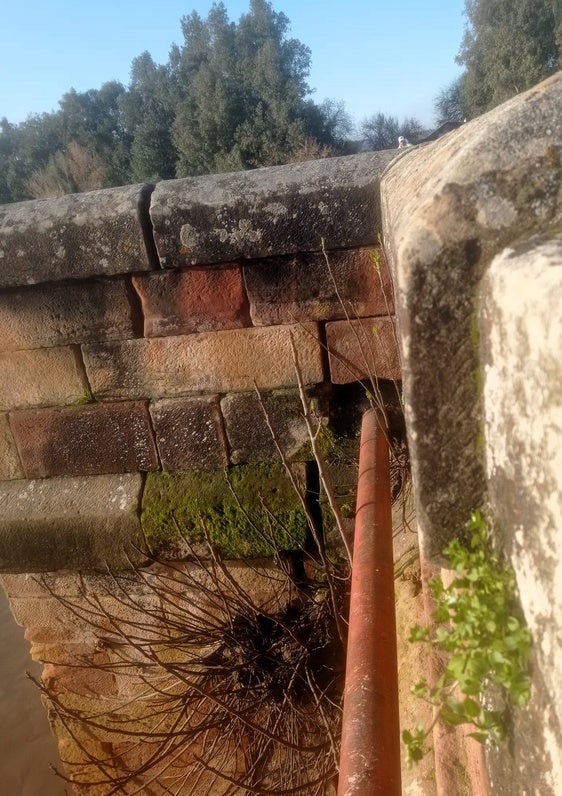 Crece en Andújar la preocupación por el deterioro progresivo del puente romano