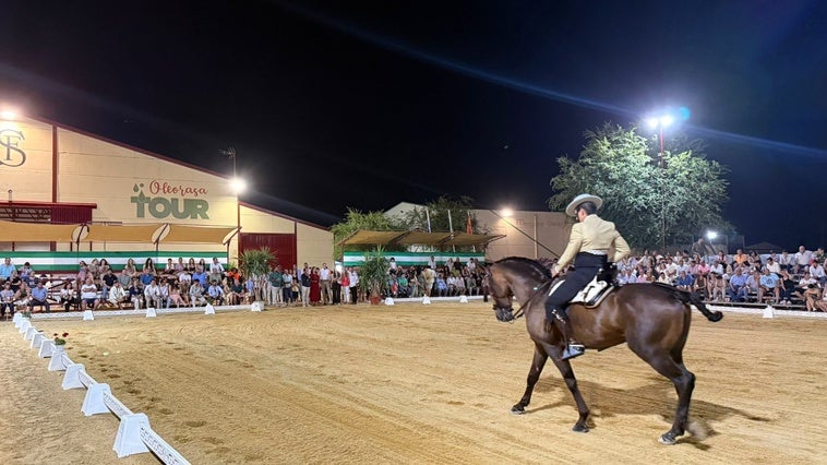 Latorre destaca el impacto económico y turístico generado por el VI Salón del Caballo de Arjona