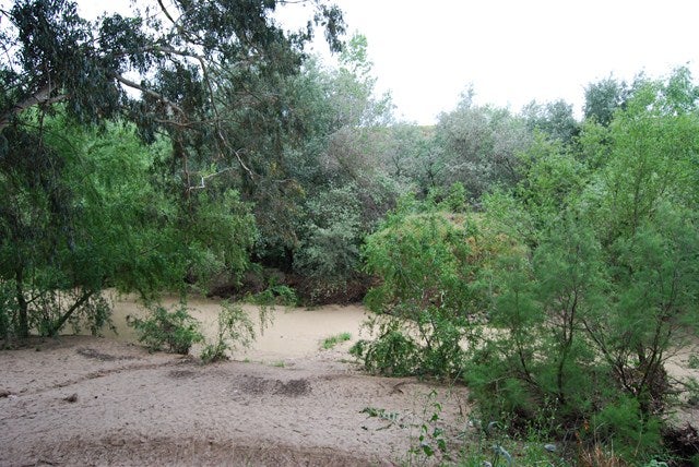 El Guadalquivir se desborda por el Batanejo en Villanueva