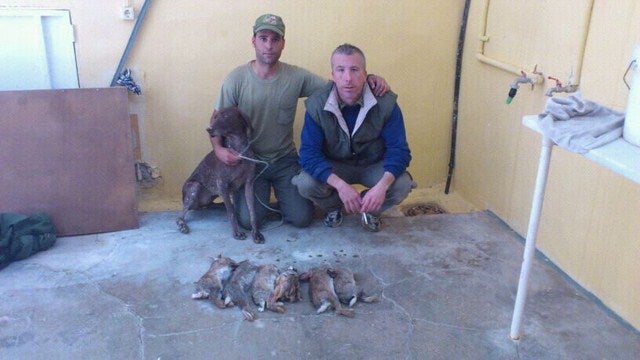 Lopera acoge el Campeonato de Caza Menor con Perro