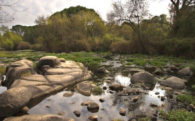 AMECO imparte un curso gratuito sobre sensibilización medioambiental