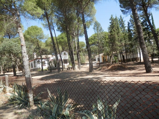 Aprobados alrededor de cien planes de autoprotección de Viñas